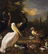 Melchior de Hondecoeter The Floating Feather France oil painting artist